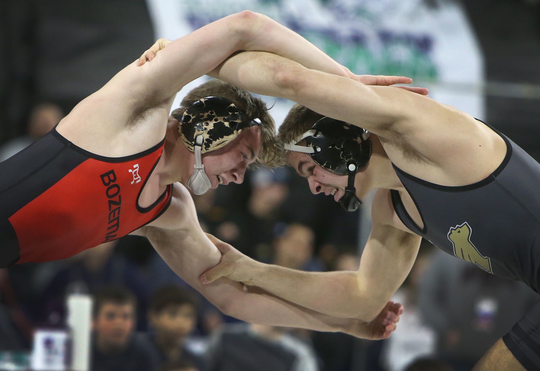 State Wrestling Finals